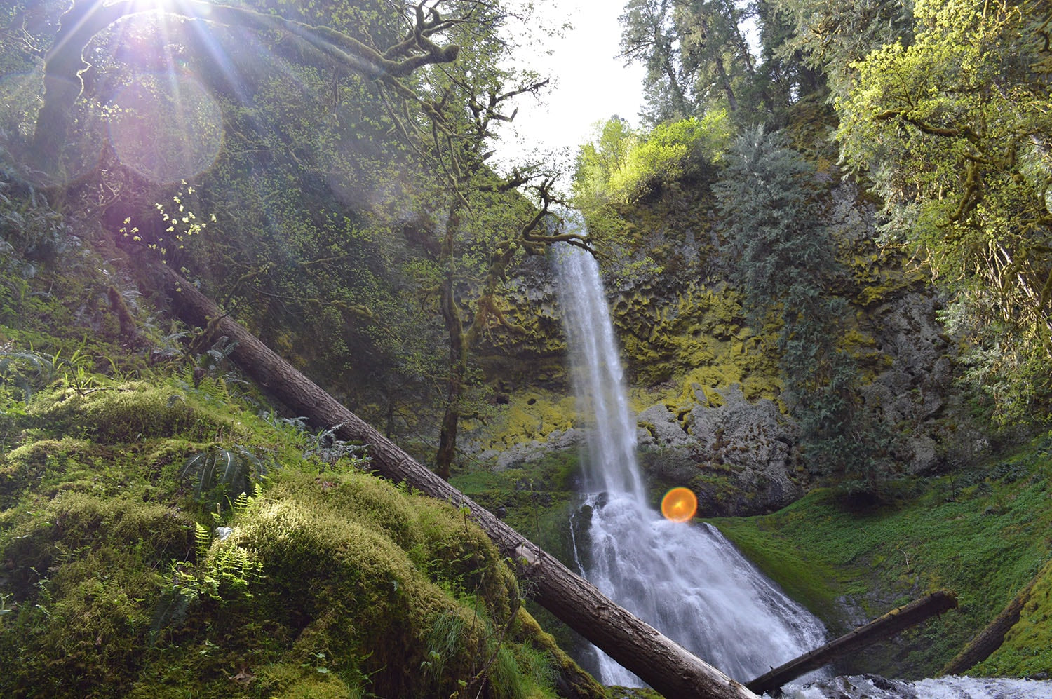 Beautiful Waterfall Hike to Pup Creek Falls