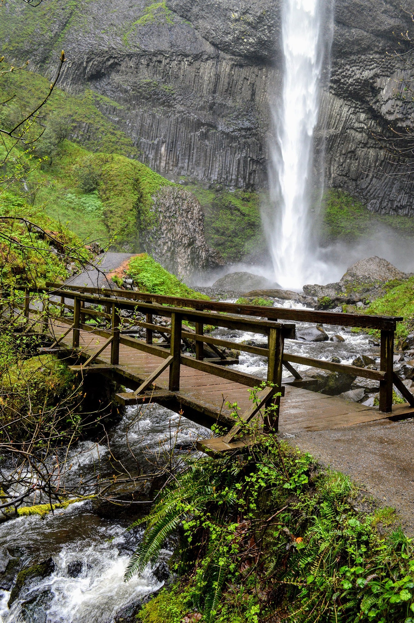 Family Friendly Walking Path at Latourell Falls