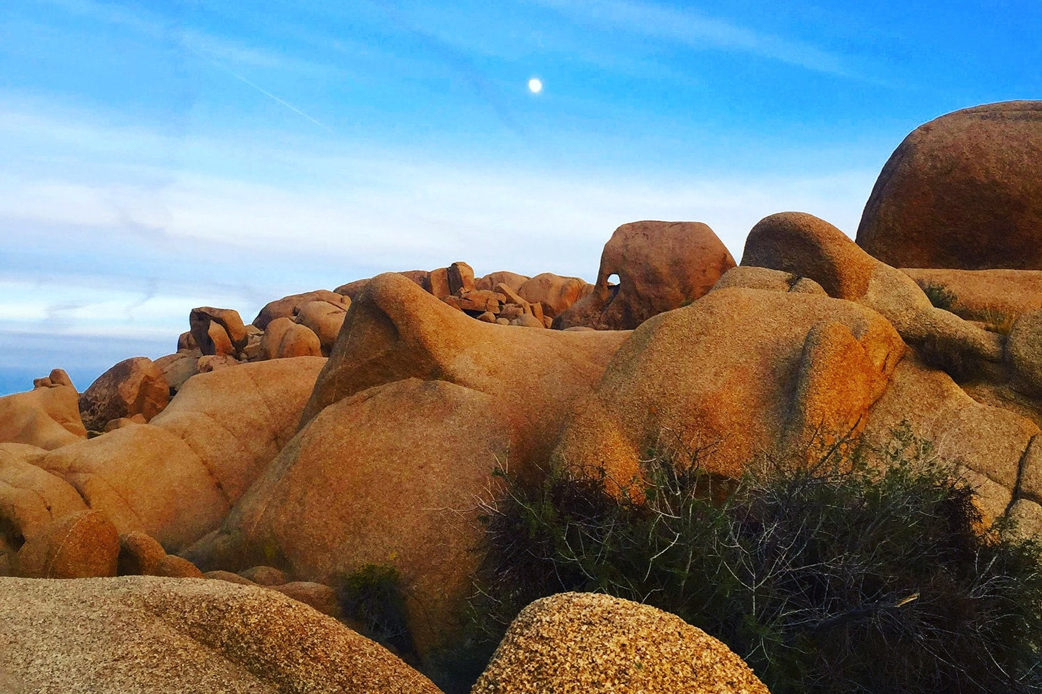 How to Spend the Perfect Weekend Hiking Getaway at Joshua Tree